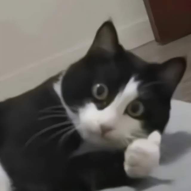 ty开发者大会我看到了AI游戏的未来凯发K8国际版原神LOL齐聚的Uni(图11)